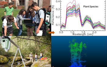 Illustration of Jessica Mitchell's work testing biodiversity mapping methods using reflectance spectroscopy and laser scanning.